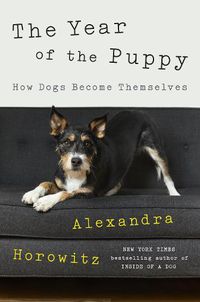 Cover image for The Year of the Puppy: How Dogs Become Themselves