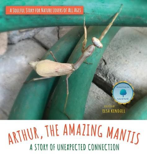 Cover image for Arthur, The Amazing Mantis: A Story of Unexpected Connection