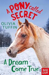 Cover image for A Pony Called Secret: A Dream Come True