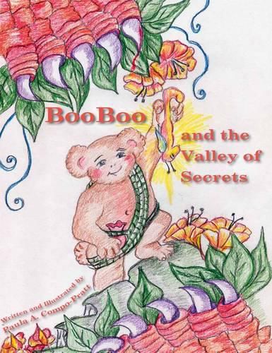 Cover image for Booboo and the Valley of Secrets