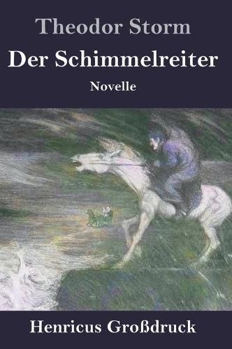 Cover image for Der Schimmelreiter (Grossdruck): Novelle