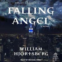Cover image for Falling Angel