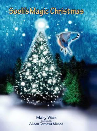 Cover image for Sooli's Magic Christmas