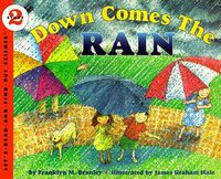 Cover image for Down Comes the Rain