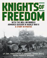 Cover image for Knights of Freedom