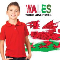 Cover image for Wales