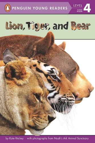 Cover image for Lion, Tiger, and Bear