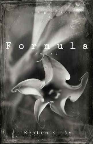 Cover image for Formula