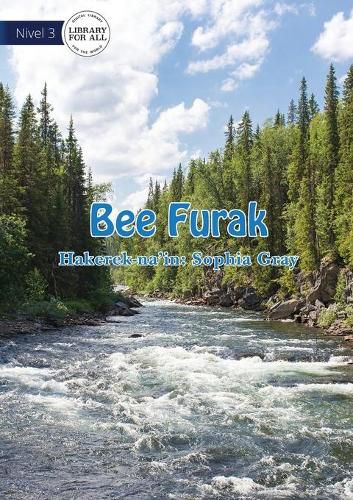 Cover image for Wonderful Water- Bee Furak