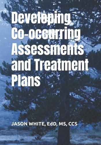 Cover image for Developing Co-occurring Assessments and Treatment Plans