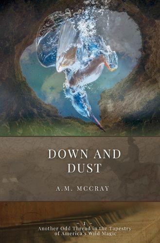 Cover image for Down and Dust