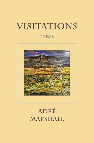 Cover image for Visitations