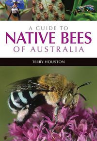 Cover image for A Guide to Native Bees of Australia