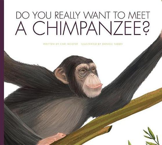 Do You Really Want to Meet a Chimpanzee?