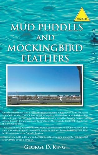 Cover image for Mud Puddles and Mockingbird Feathers and The Sky is Crying