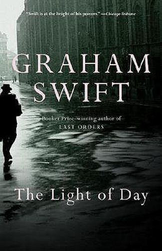 Cover image for The Light of Day: A Novel