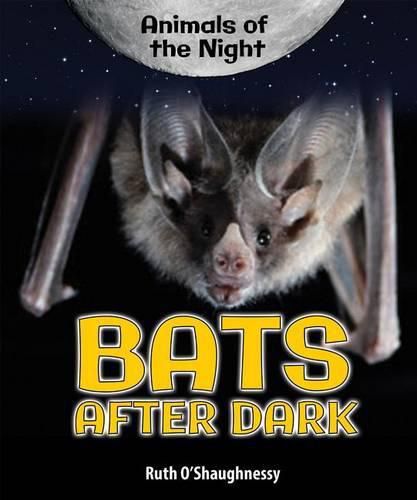 Cover image for Bats After Dark
