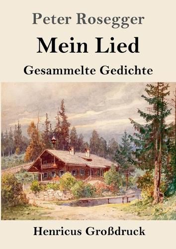 Mein Lied (Grossdruck): Gesammelte Gedichte