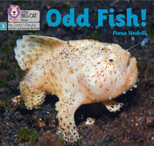 Odd Fish!: Phase 3 Set 1