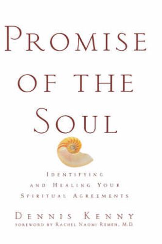 Cover image for Promise of the Soul: Identifying and Healing Your Spiritual Agreements