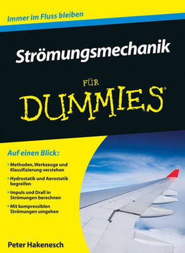 Cover image for Stroemungsmechanik fur Dummies