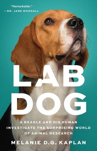 Cover image for Lab Dog