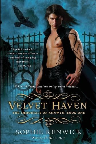 Cover image for Velvet Haven: Book One in the Annwyn Chronicles