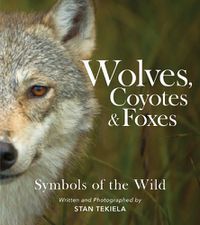 Cover image for Wolves, Coyotes & Foxes: Symbols of the Wild