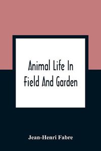 Cover image for Animal Life In Field And Garden