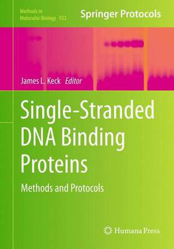 Cover image for Single-Stranded DNA Binding Proteins: Methods and Protocols