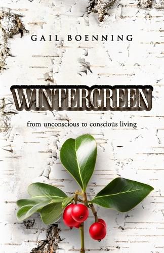 Cover image for Wintergreen