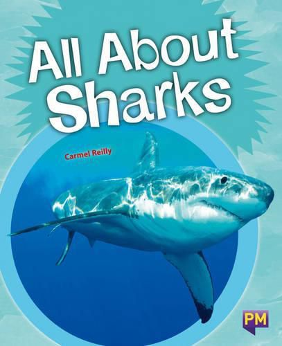 Cover image for All About Sharks