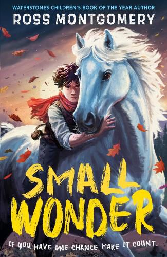 Cover image for Small Wonder