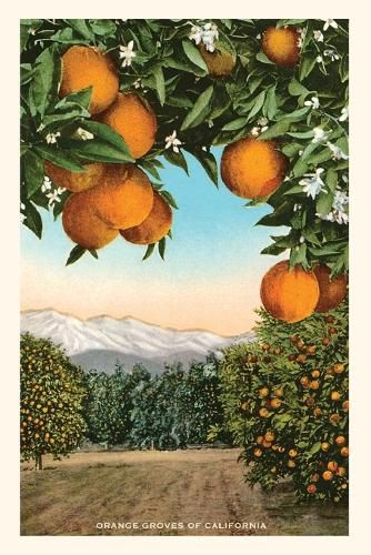 Cover image for The Vintage Journal Orange Grove with Mountains in Background