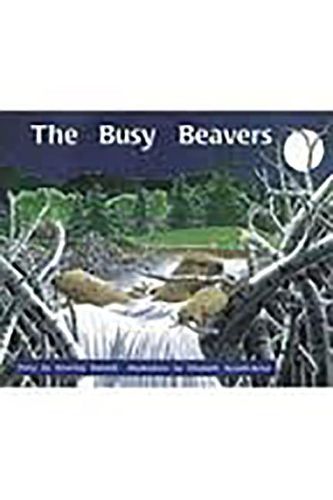 Cover image for The Busy Beavers: Individual Student Edition Orange (Levels 15-16)