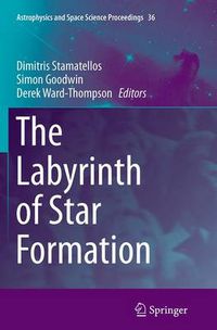 Cover image for The Labyrinth of Star Formation