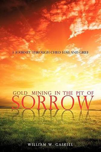 Cover image for Gold Mining in the Pit of Sorrow