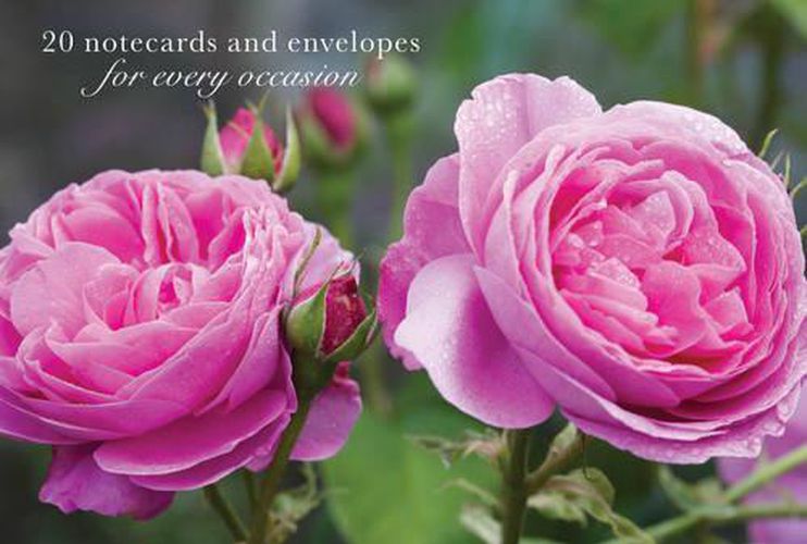 Cover image for Card Box of 20 Notecards and Envelopes: Pink Rose