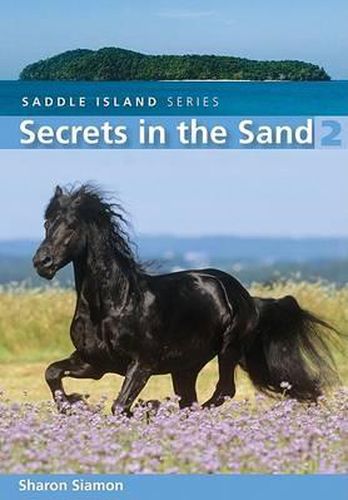 Cover image for Secrets in the Sand