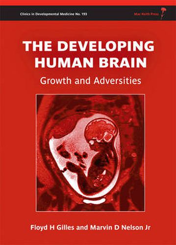 The Developing Human Brain: Growth and Adversities