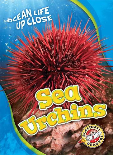 Cover image for Sea Urchins