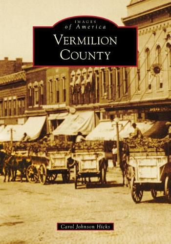 Cover image for Vermilion County