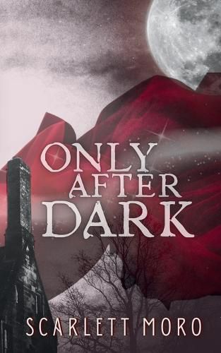 Cover image for Only After Dark