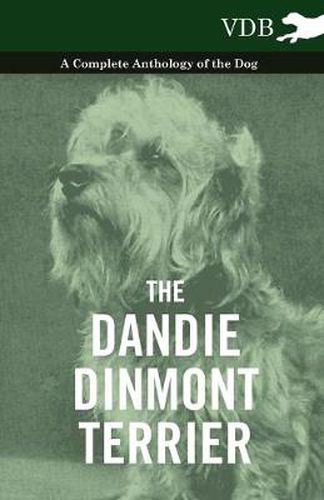 Cover image for The Dandie Dinmont Terrier - A Complete Anthology of the Dog -