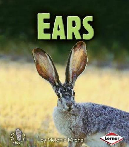 Cover image for Ears