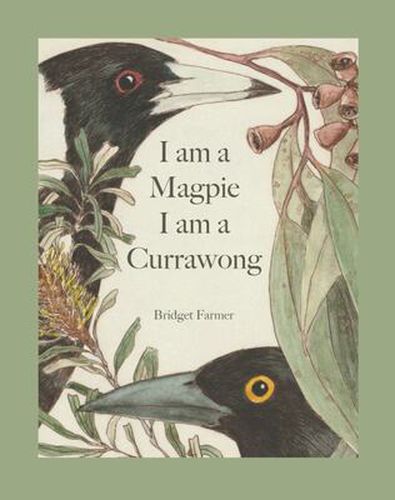 I Am a Magpie, I Am a Currawong