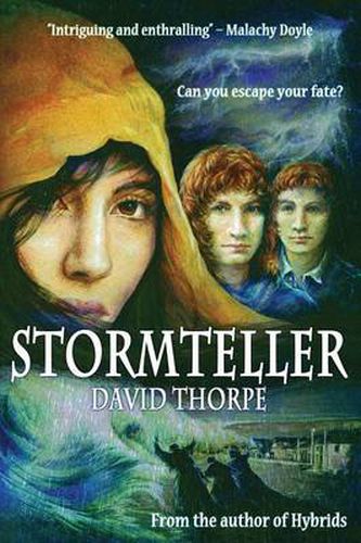 Cover image for Stormteller