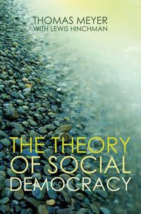 Cover image for The Theory of Social Democracy