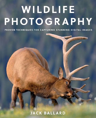 Cover image for Wildlife Photography: Proven Techniques for Capturing Stunning Digital Images