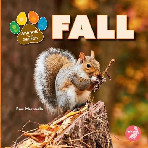 Cover image for Fall